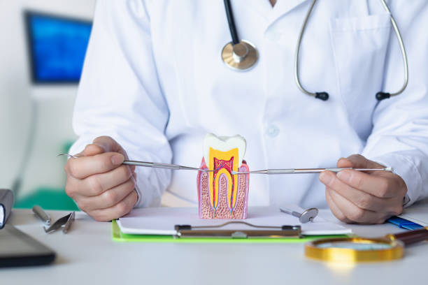 Best Emergency Dentist for Knocked-Out Tooth in Hurricane, WV